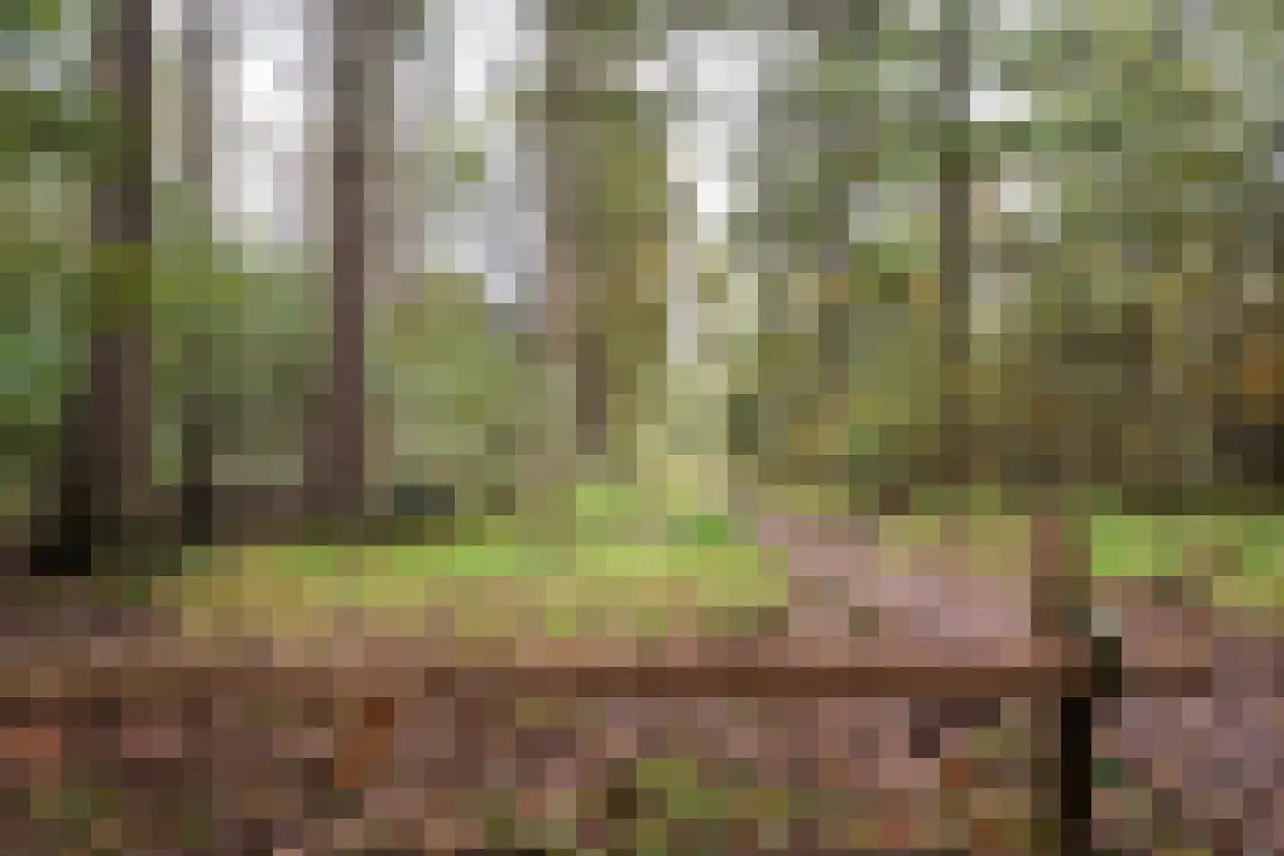 Domeinenweg 4 Putten thumbnail 77