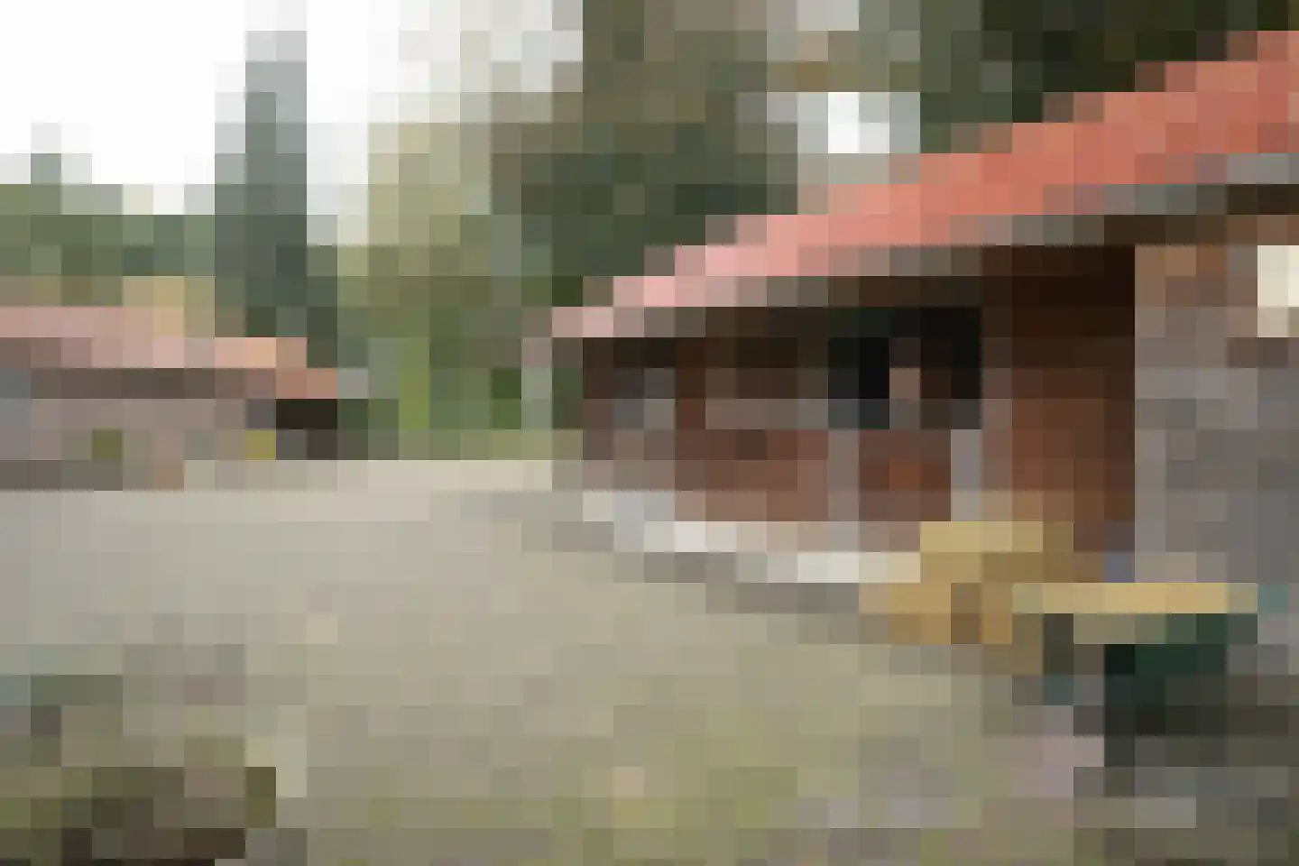 Domeinenweg 4 Putten thumbnail 8