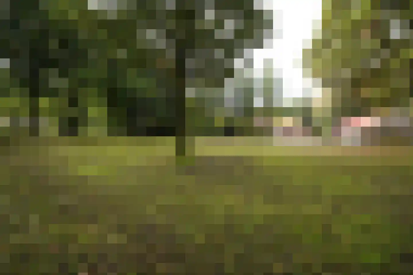 Domeinenweg 4 Putten thumbnail 9