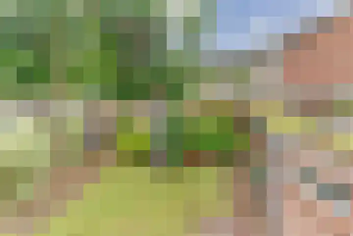 Domeinlaan 13 Dieren thumbnail 17
