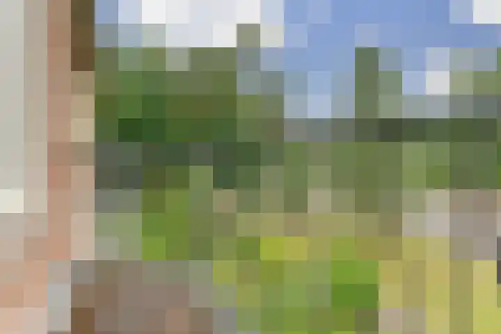 Domeinlaan 13 Dieren thumbnail 20