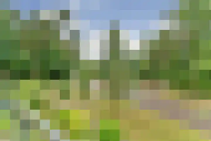 Domeinlaan 13 Dieren thumbnail 21