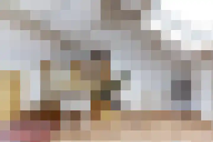 Domeinlaan 13 Dieren thumbnail 29