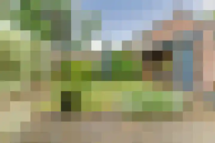 Domeinlaan 13 Dieren thumbnail 31