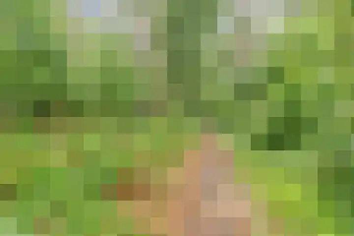 Domeinlaan 13 Dieren thumbnail 34