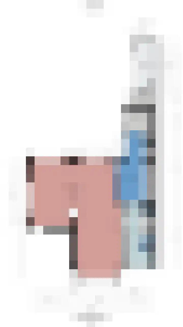 Domeinlaan 13 Dieren thumbnail 36