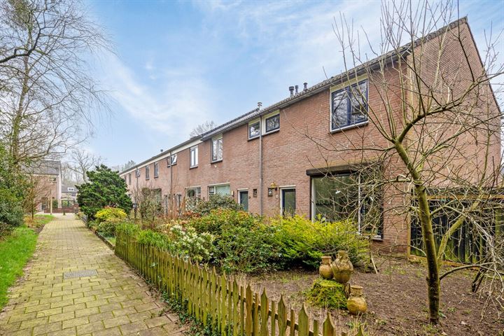 Domeinlaan 134 in Dieren Foto