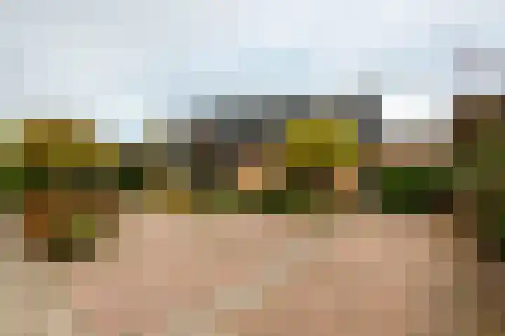 Domeinstraat 3 Hoeven