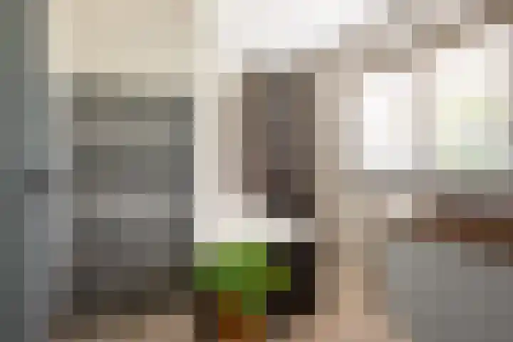 Domeinstraat 3 Hoeven thumbnail 12