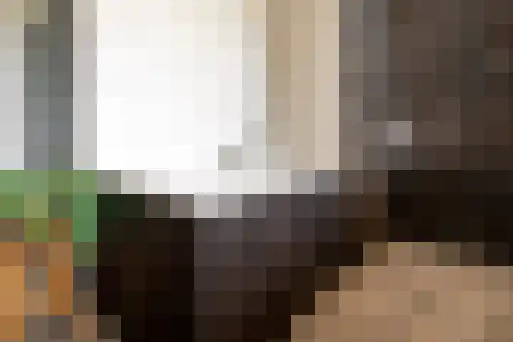 Domeinstraat 3 Hoeven thumbnail 13