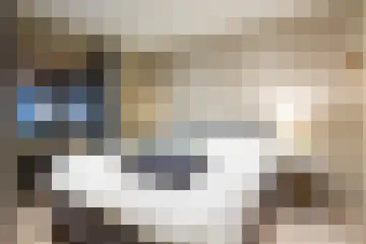 Domeinstraat 3 Hoeven thumbnail 16
