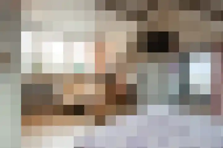 Domeinstraat 3 Hoeven thumbnail 18