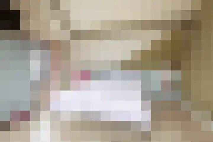 Domeinstraat 3 Hoeven thumbnail 19