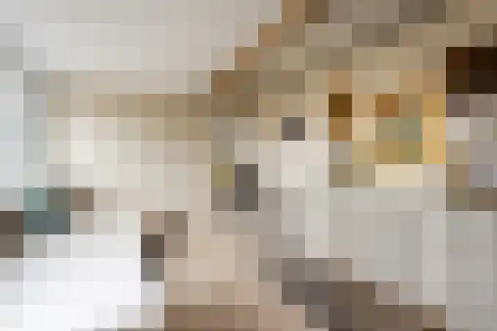 Domeinstraat 3 Hoeven thumbnail 21