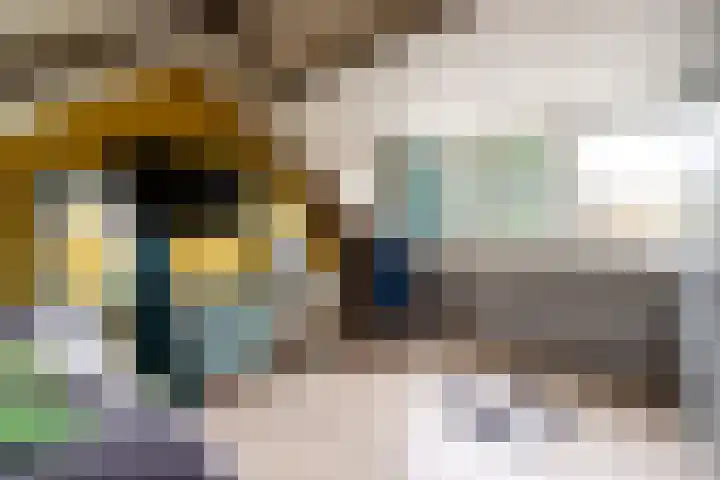 Domeinstraat 3 Hoeven thumbnail 22