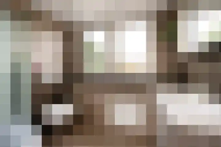 Domeinstraat 3 Hoeven thumbnail 24