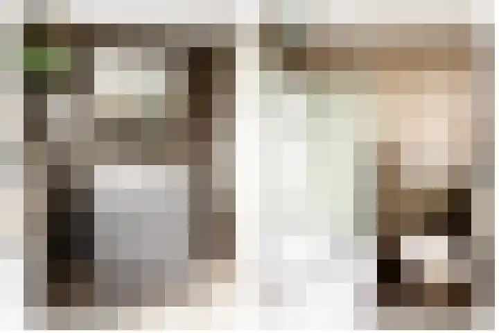 Domeinstraat 3 Hoeven thumbnail 25