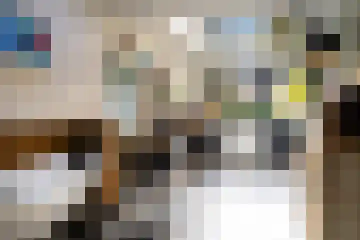 Domeinstraat 3 Hoeven thumbnail 26