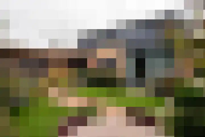 Domeinstraat 3 Hoeven thumbnail 28