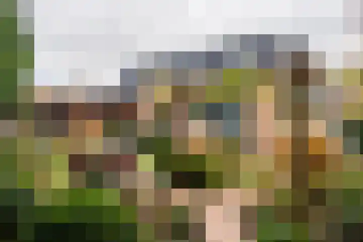 Domeinstraat 3 Hoeven thumbnail 29