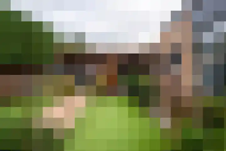 Domeinstraat 3 Hoeven thumbnail 30