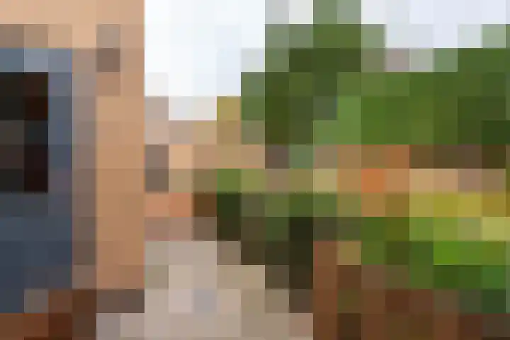 Domeinstraat 3 Hoeven thumbnail 31