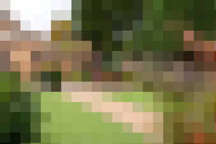 Domeinstraat 3 Hoeven thumbnail 32