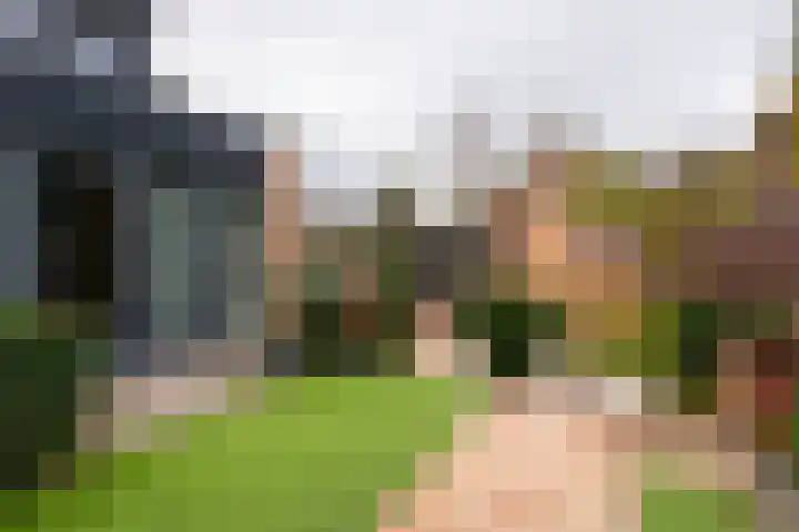 Domeinstraat 3 Hoeven thumbnail 34