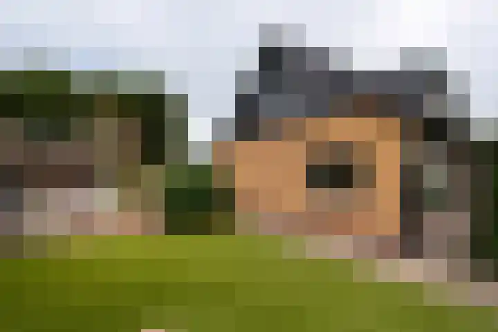 Domeinstraat 3 Hoeven thumbnail 35