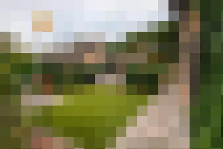 Domeinstraat 3 Hoeven thumbnail 36