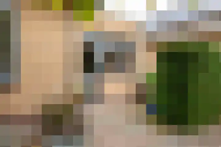 Domeinstraat 3 Hoeven thumbnail 38