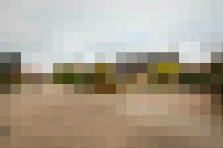 Domeinstraat 3 Hoeven thumbnail 40