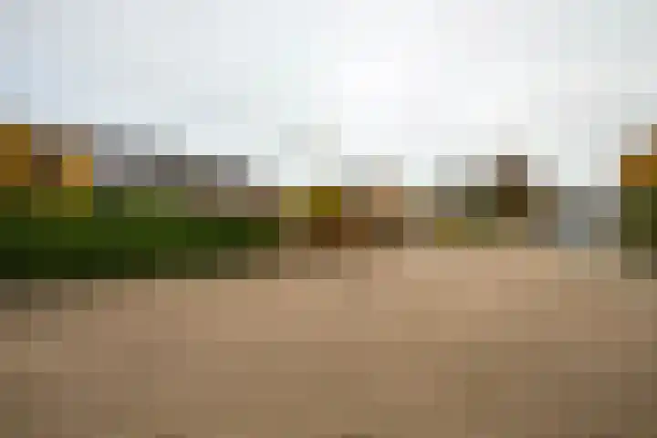 Domeinstraat 3 Hoeven thumbnail 41
