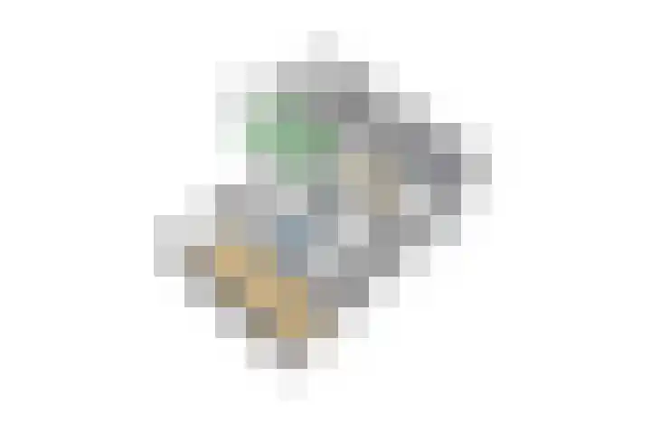 Domeinstraat 3 Hoeven thumbnail 45