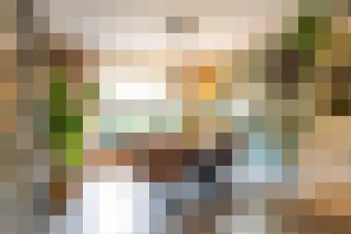 Domeinstraat 3 Hoeven thumbnail 5