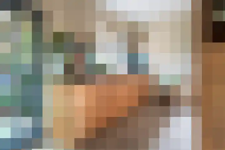 Domeinstraat 3 Hoeven thumbnail 7