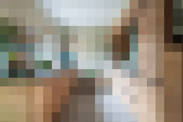 Domeinstraat 3 Hoeven thumbnail 8