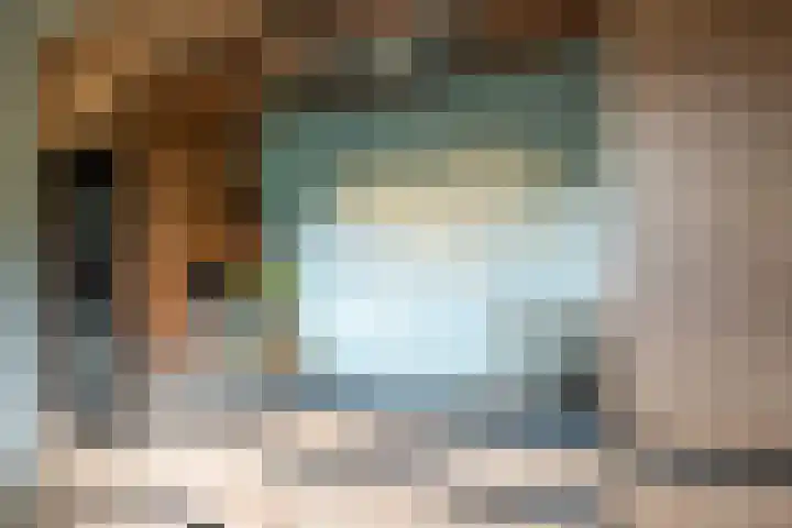 Domeinstraat 3 Hoeven thumbnail 9