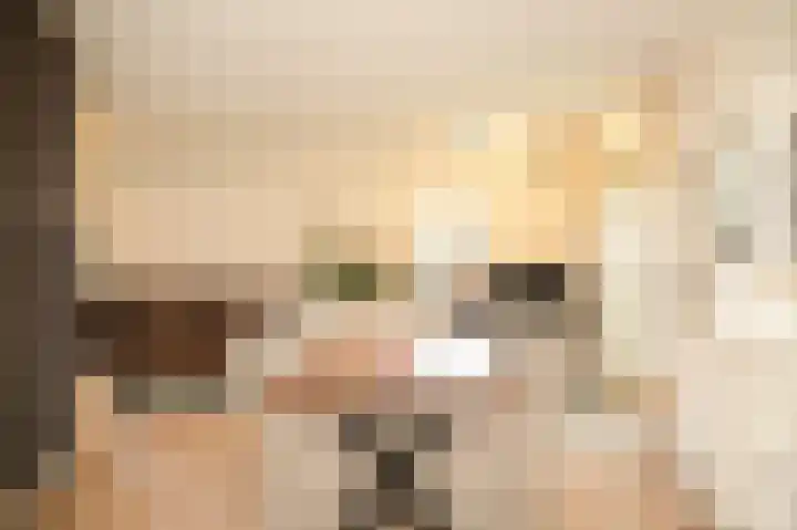 Domeinstraat 5 Ochten thumbnail 11