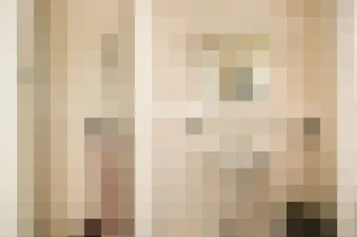 Domeinstraat 5 Ochten thumbnail 14