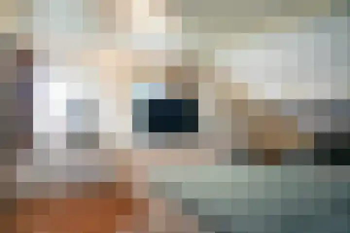 Domeinstraat 5 Ochten thumbnail 20