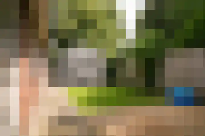 Domeinstraat 5 Ochten thumbnail 24