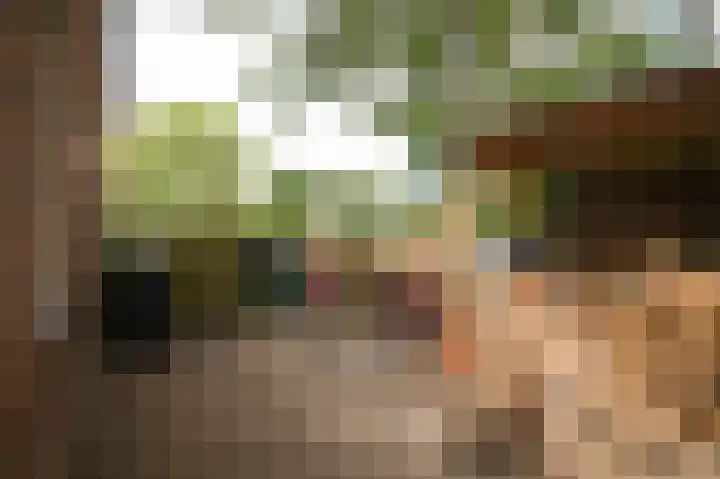 Domeinstraat 5 Ochten thumbnail 26