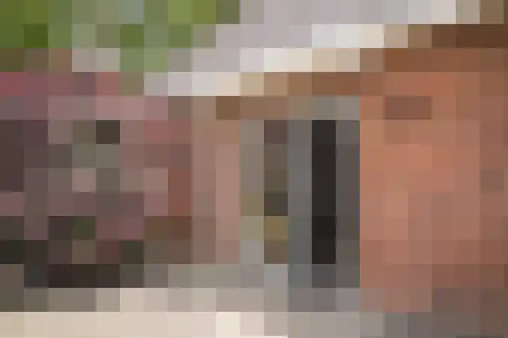 Domeinstraat 5 Ochten thumbnail 28