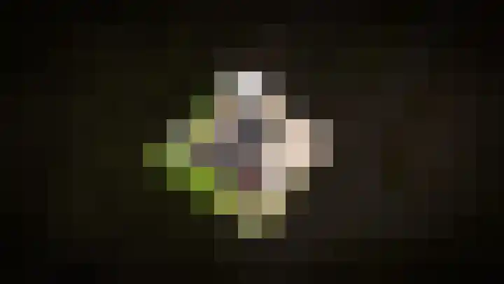 Domeinstraat 5 Ochten thumbnail 35