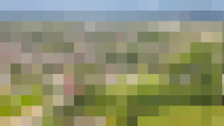 Domeinstraat 5 Ochten thumbnail 36