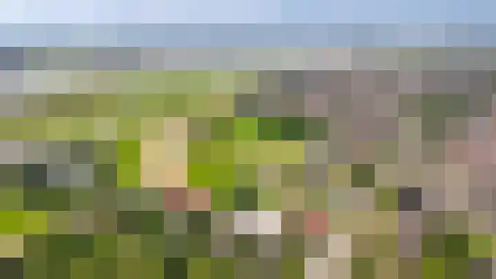 Domeinstraat 5 Ochten thumbnail 37