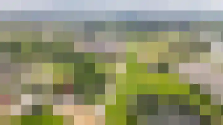 Domeinstraat 5 Ochten thumbnail 38