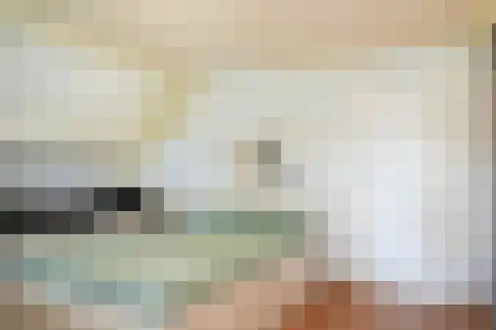 Domeinstraat 5 Ochten thumbnail 4