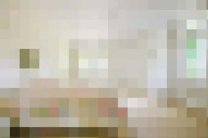 Domeinweg 6 Hilversum thumbnail 15